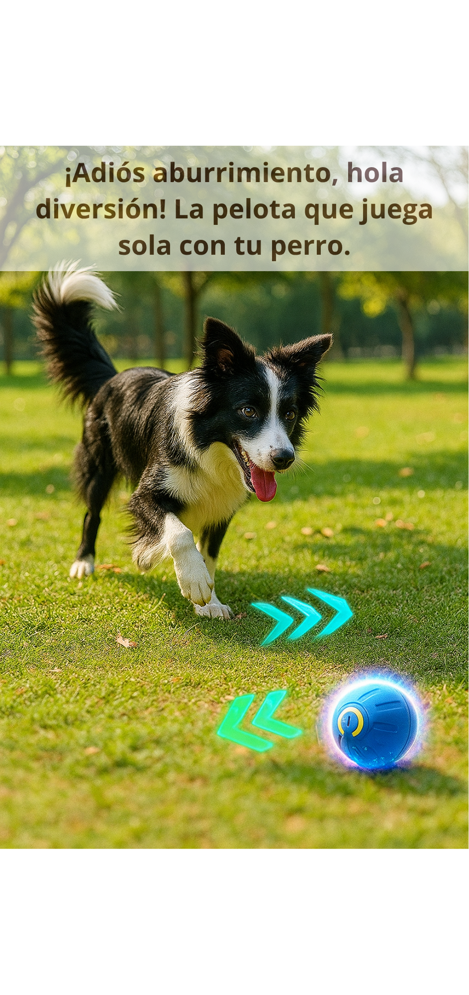 Pelota Inteligente para Mascotas